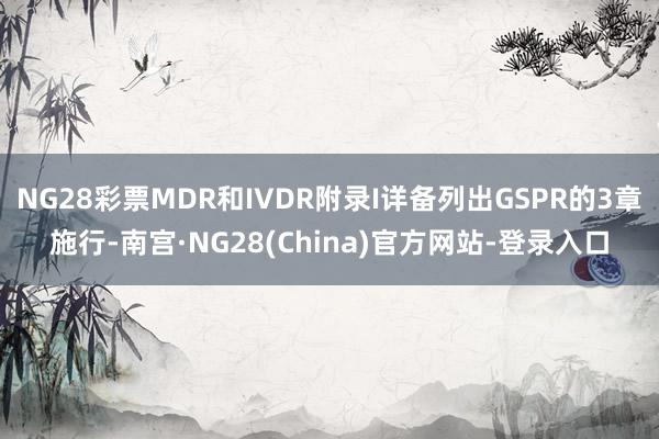 NG28彩票MDR和IVDR附录I详备列出GSPR的3章施行-南宫·NG28(China)官方网站-登录入口