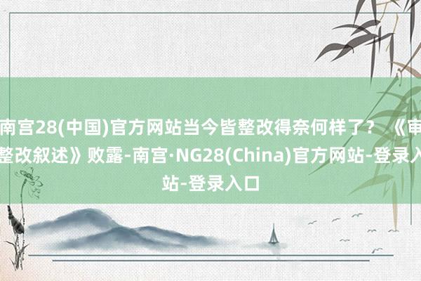 南宫28(中国)官方网站当今皆整改得奈何样了？ 《审计整改叙述》败露-南宫·NG28(China)官方网站-登录入口